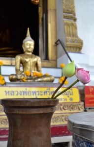 Isabella Berardi è stata a Bangkok (Budda e fiori di loto)